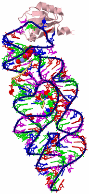 Image Biological Unit 3