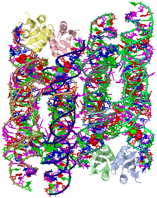 Image Asym. Unit - sites