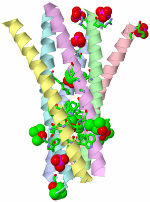 Image Asym. Unit - sites