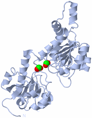 Image Biological Unit 1