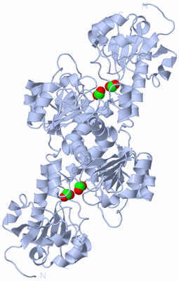 Image Biological Unit 2