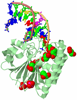 Image Biological Unit 2