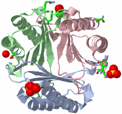 Image Biol. Unit 1 - sites