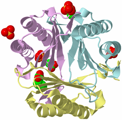 Image Biological Unit 2