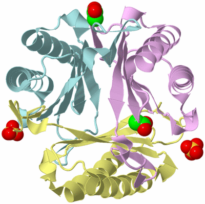 Image Biological Unit 2