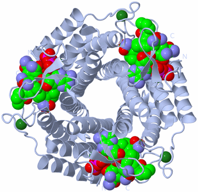 Image Biological Unit 1