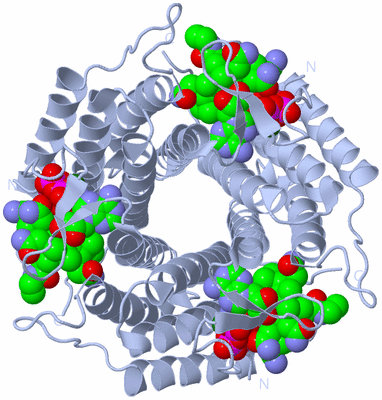 Image Biological Unit 1