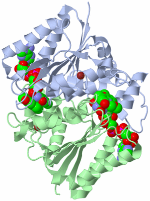 Image Asym./Biol. Unit