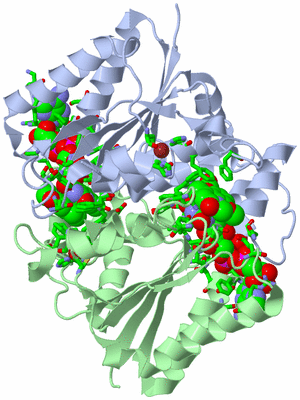 Image Asym./Biol. Unit - sites