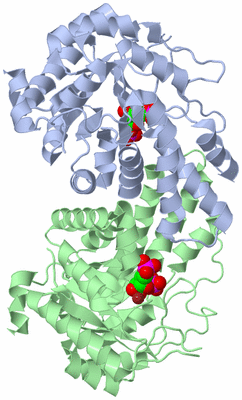 Image Asym./Biol. Unit