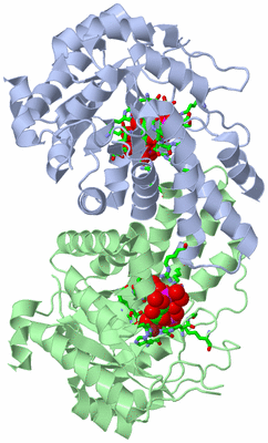 Image Asym./Biol. Unit - sites