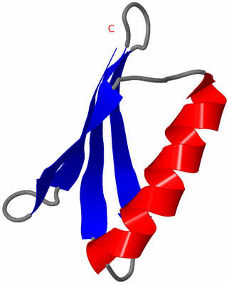 Image NMR Structure - model 1