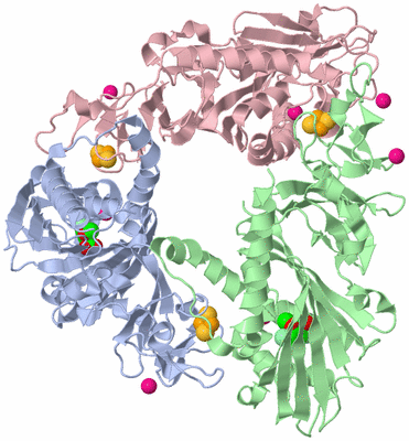 Image Asym./Biol. Unit