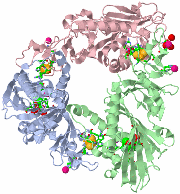 Image Asym./Biol. Unit - sites