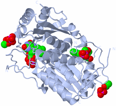 Image Biological Unit 1