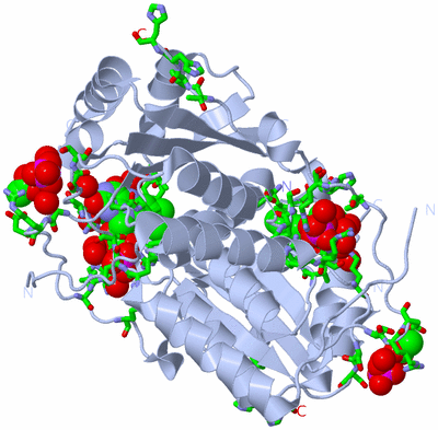 Image Biol. Unit 1 - sites