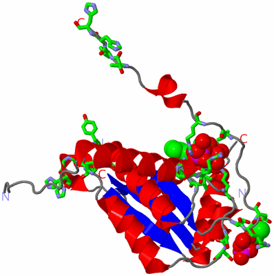 Image Asym. Unit - sites