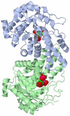 Image Asym./Biol. Unit