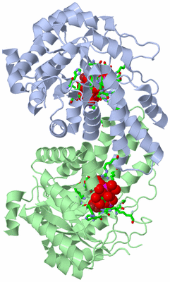 Image Asym./Biol. Unit - sites