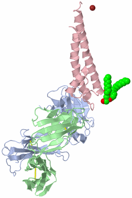 Image Asymmetric Unit