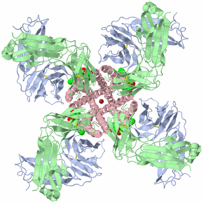 Image Biological Unit 1