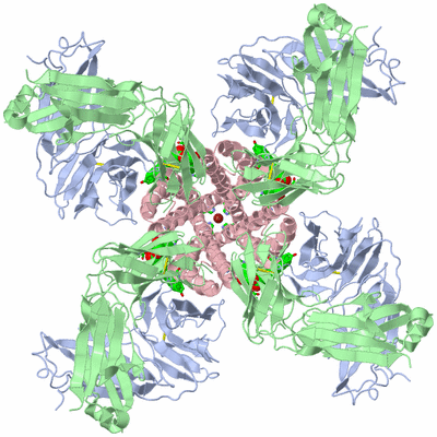 Image Biol. Unit 1 - sites