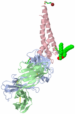 Image Asym. Unit - sites