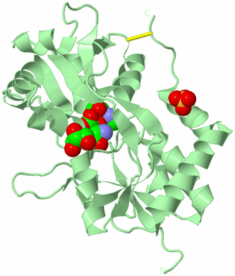 Image Biological Unit 2