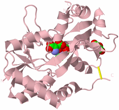 Image Biological Unit 3