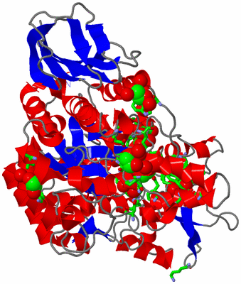 Image Asym./Biol. Unit - sites