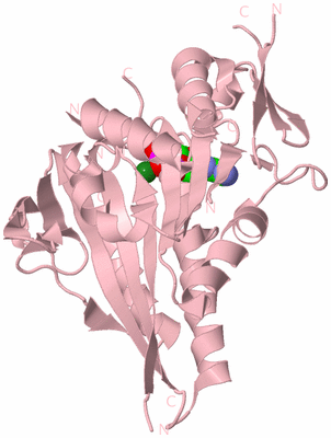 Image Biological Unit 3