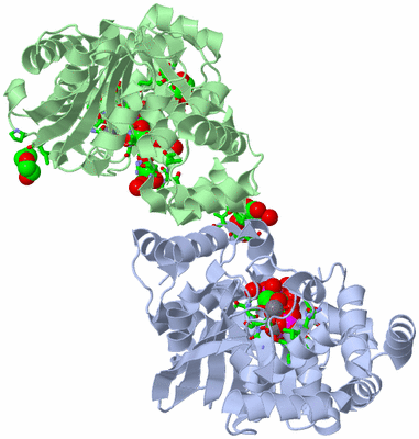 Image Asym./Biol. Unit - sites