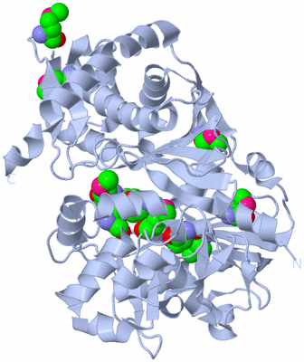 Image Biological Unit 1