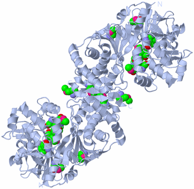 Image Biological Unit 2