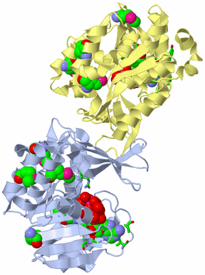 Image Biol. Unit 1 - sites