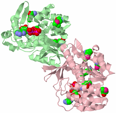 Image Biological Unit 2