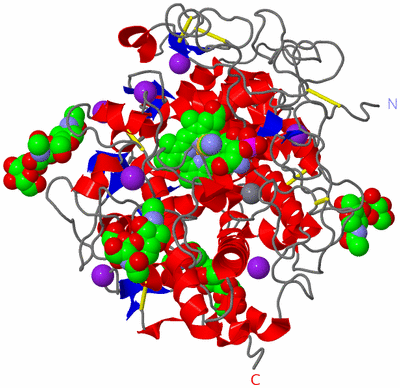 Image Asym./Biol. Unit