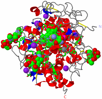 Image Asym./Biol. Unit - sites