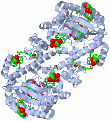 Image Biol. Unit 1 - sites