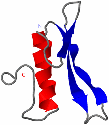 Image NMR Structure - model 1