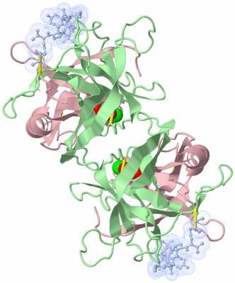 Image Biological Unit 1