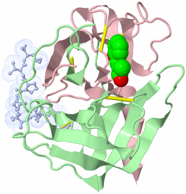 Image Biological Unit 2