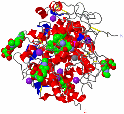 Image Asym./Biol. Unit