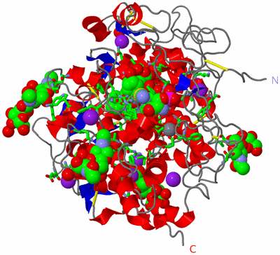 Image Asym./Biol. Unit - sites