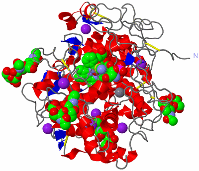 Image Asym./Biol. Unit