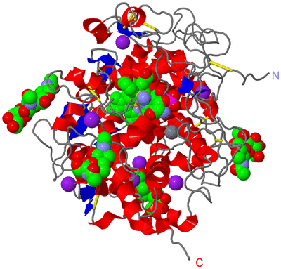 Image Asym./Biol. Unit