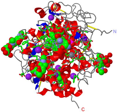 Image Asym./Biol. Unit - sites