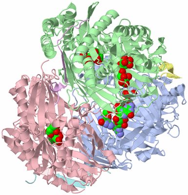 Image Asym./Biol. Unit