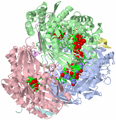 Image Asym./Biol. Unit - sites