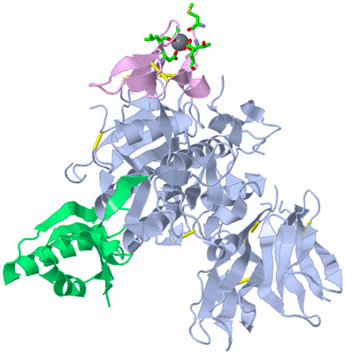 Image Asym./Biol. Unit - sites